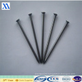 Manufacturer of Polished Common Nails (XA-CN3)